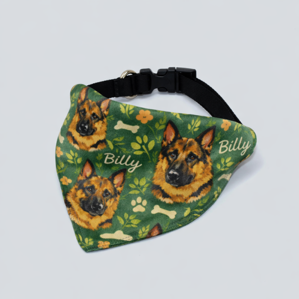 Bandana personalizada para mascotas · Estilo ilustración