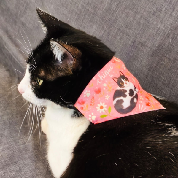 Bandana personalizada para mascotas · Estilo ilustración