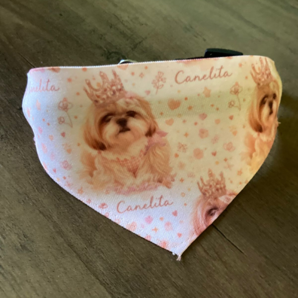 Bandana personalizada para mascotas · Estilo ilustración