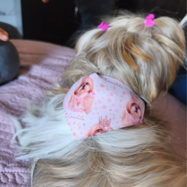 Bandana personalizada para mascotas · Estilo ilustración