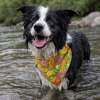 Bandana frutal para mascotas con collar ajustable. Modelo Tutti de UnaTaza, diseño colorido y fresco. Envíos a todo Chile.