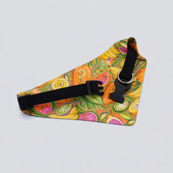 Bandana frutal para mascotas con collar ajustable. Modelo Tutti de UnaTaza, diseño colorido y fresco. Envíos a todo Chile.